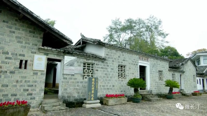 成武网站建设：企业数字化转型的助推器