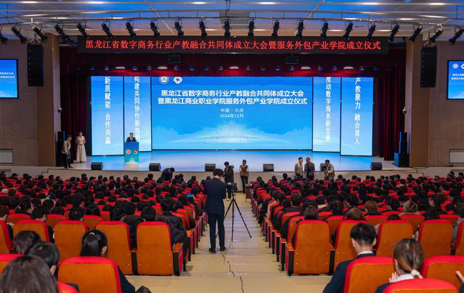 维生素网络科技
